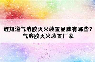 谁知道气溶胶灭火装置品牌有哪些？ 气溶胶灭火装置厂家